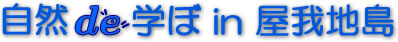 Rdew in n