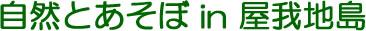 RƂ in n